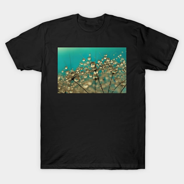 Turquoise Dandelion Drops T-Shirt by SharonJ